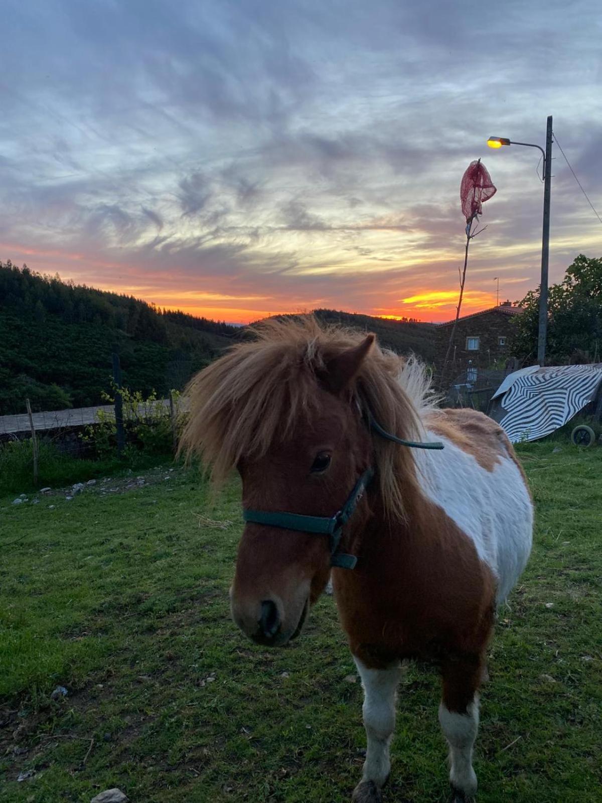 Vila Casinha Por Do Sol Aldeia das Dez Exteriér fotografie